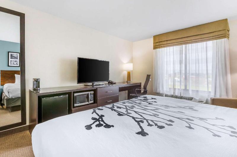 King Room - Non-Smoking image 3