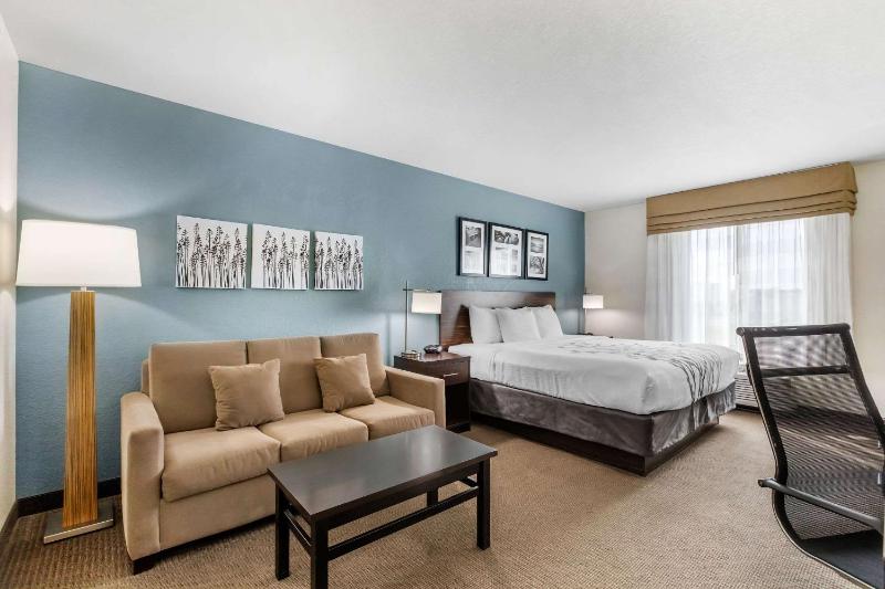 King Suite with Sofa Bed - Non-Smoking image 2