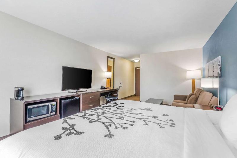 King Suite with Sofa Bed - Non-Smoking image 3