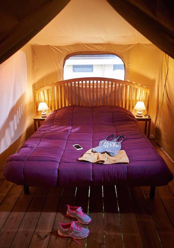 Ecolodge Victoria image 3