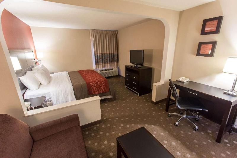 Comfort Inn Pittsburgh Crafton - image 33