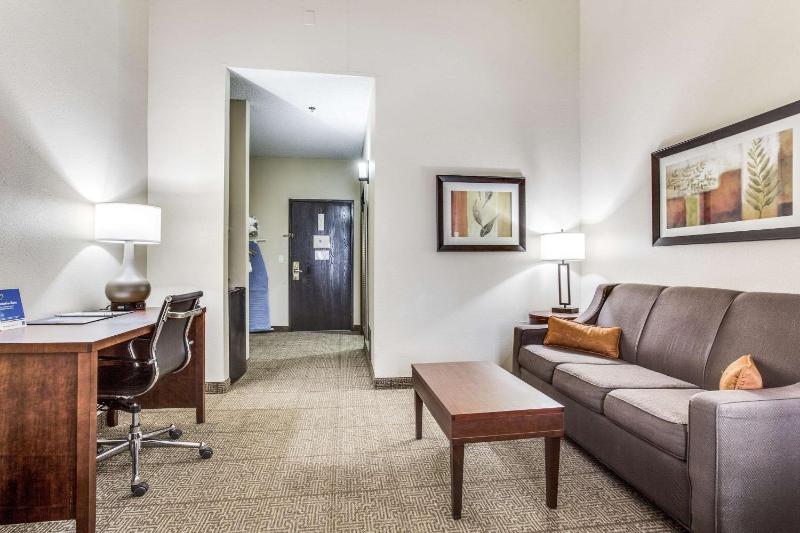Comfort Inn & Suites Love Field-Dallas Market Center - image 13