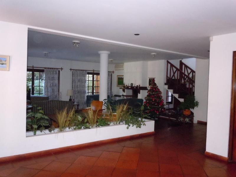 Las Araucarias - image 31