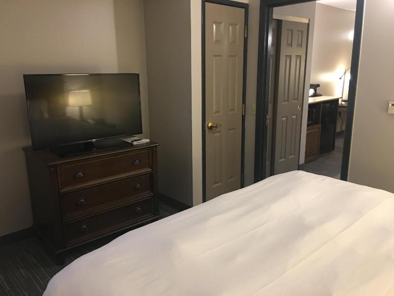 One-Bedroom King Suite with Sofa Bed image 4