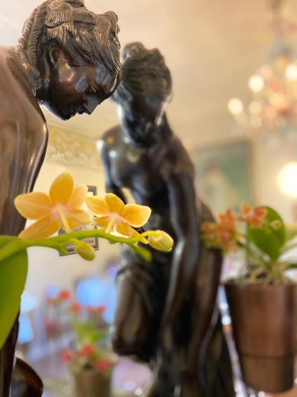 Hotel Verdi Boutique Hotel - image 13