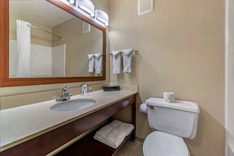 King Suite - Non-Smoking image 4