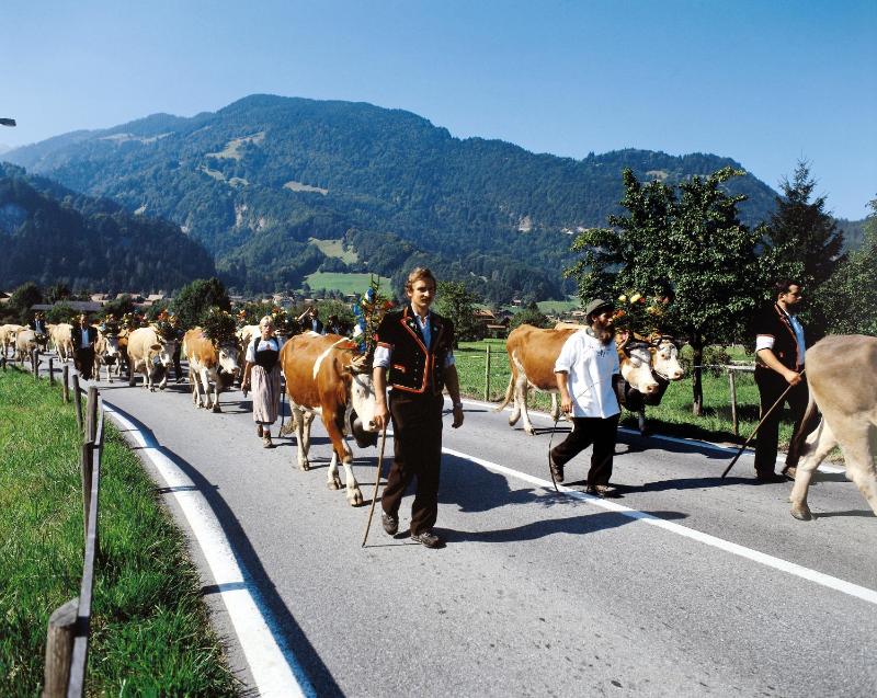 Chalet Gafri -Boutique B&B - comfort and hospitality - near Interlaken - image 13