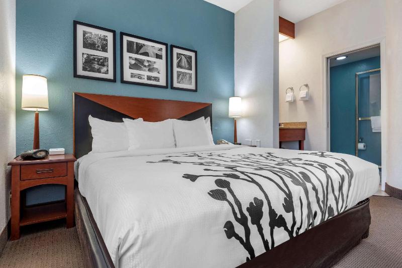 Standard King Room image 3