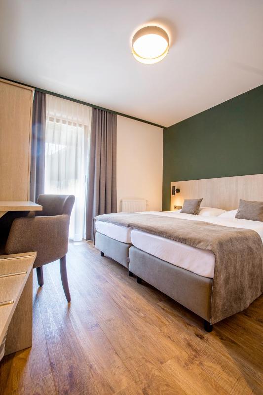 Double or Twin Room image 4