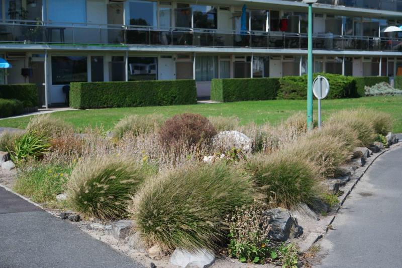 One-Bedroom Apartment with Terrace image 2