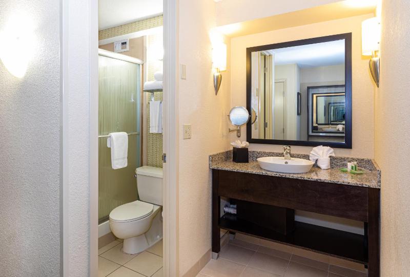 Premium King Room image 3