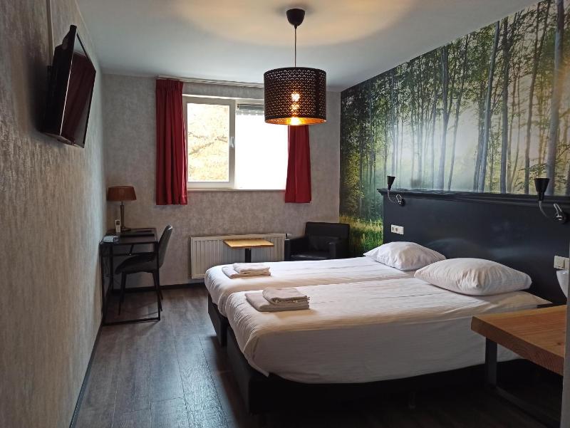 Deluxe Twin Room image 4