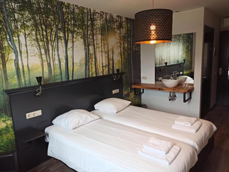 Deluxe Twin Room image 1