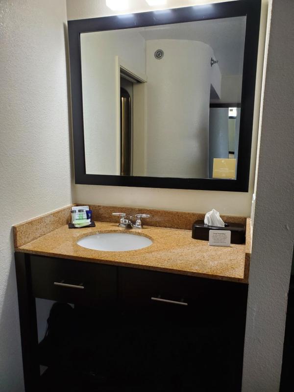 Deluxe Double Room (1 adult + 2 children) image 4