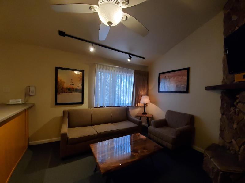 GetAways at Snow Lake Lodge - image 7