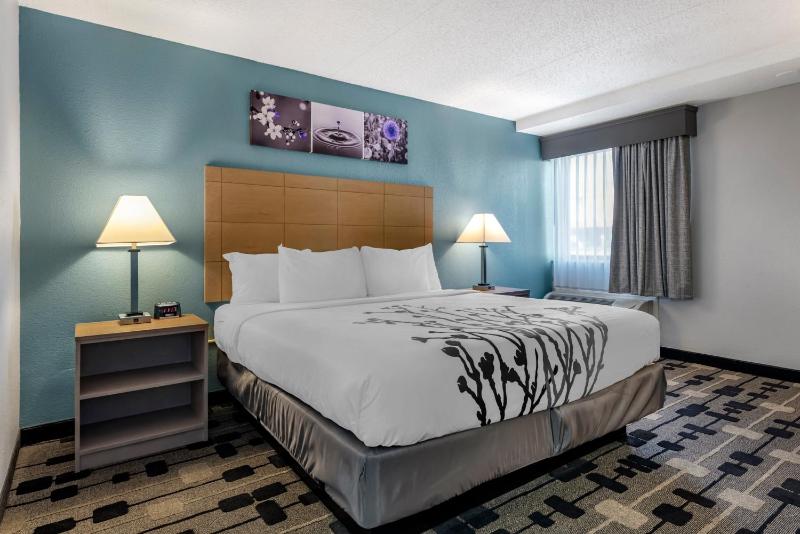 King Room - Disability Access/Non-Smoking image 3
