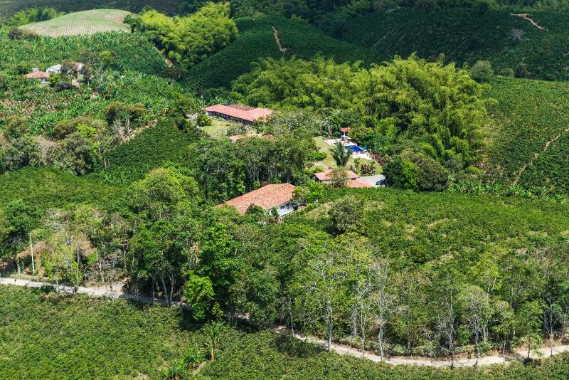 Finca Hotel Los Girasoles - image 22