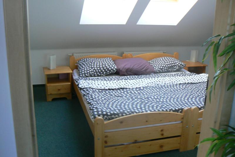 Large One-Bedroom Apartment image 4