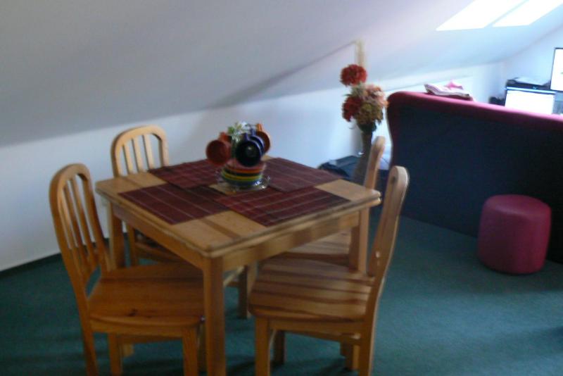 Large One-Bedroom Apartment image 3