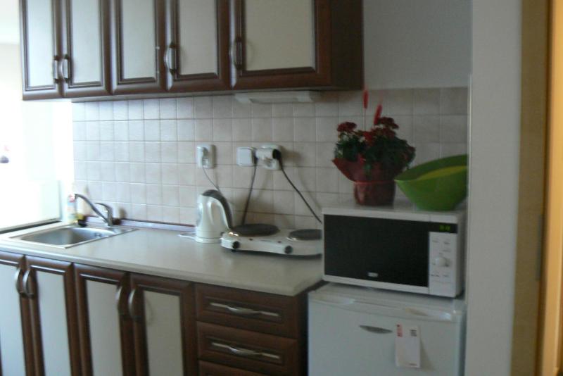Large One-Bedroom Apartment image 2