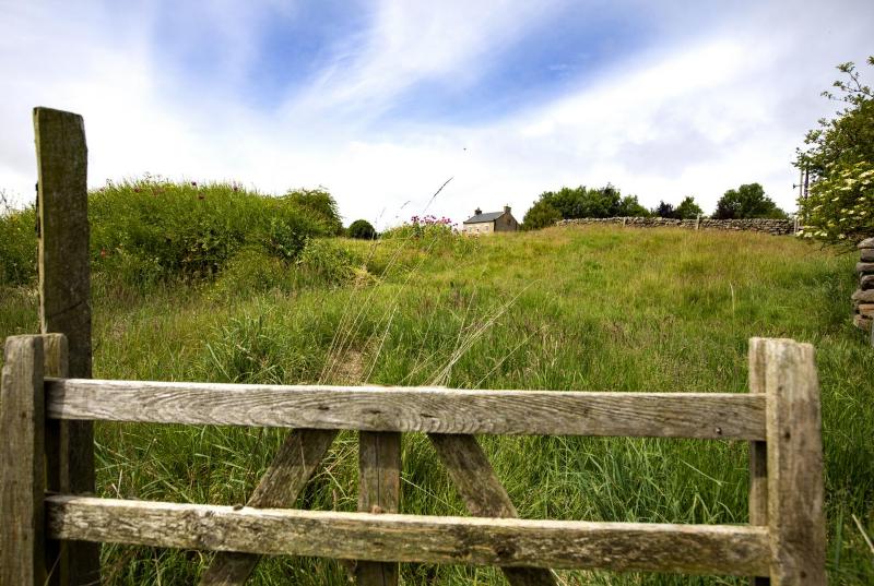 Five-Bedroom House image 2