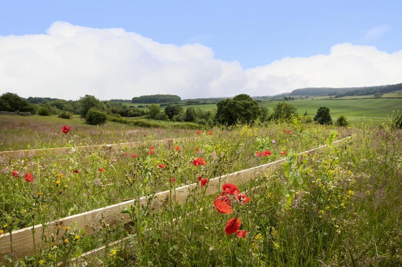 Five-Bedroom House image 3