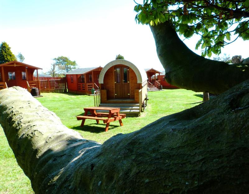 Wagon (no hot tub) image 2