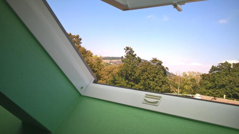 One-Bedroom Apartment image 3