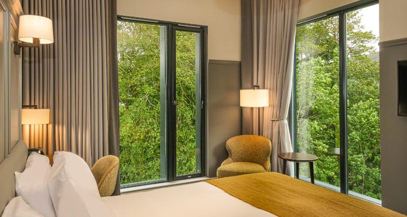 Premier Double Room image 1