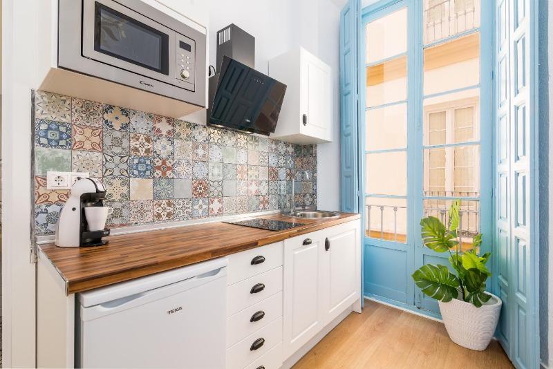 One-Bedroom Apartment image 4