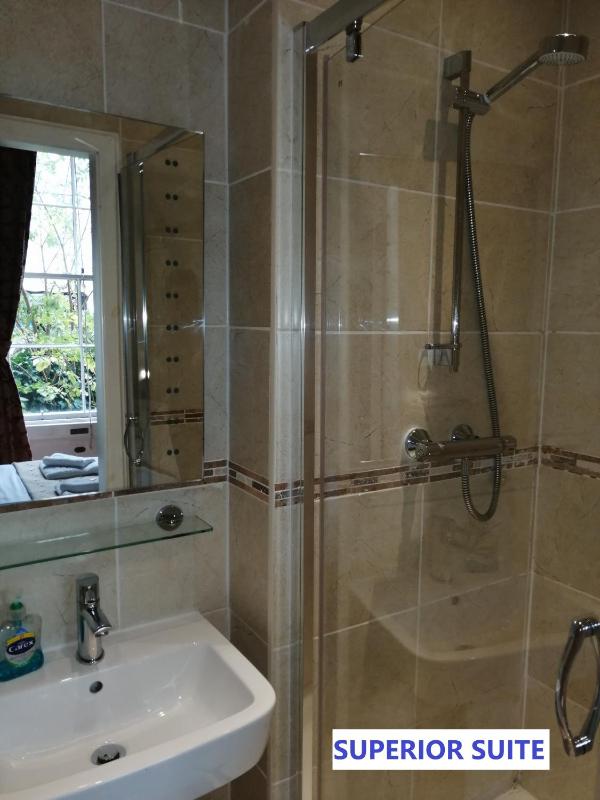 Superior Suite (2 Adults) image 3