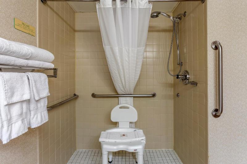 King Room with Roll-In Shower - Accessible/Non-Smoking image 2