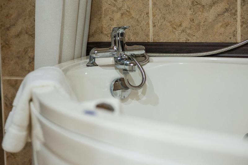 Twin Suite image 4