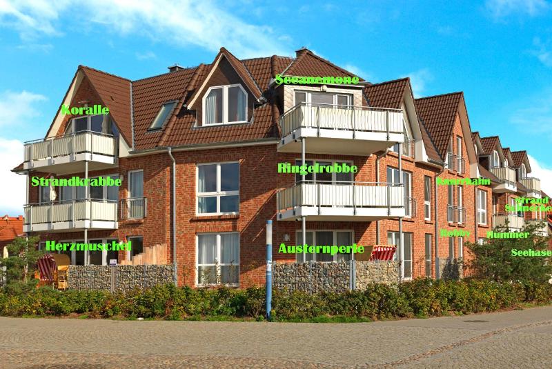 Apartment with Terrace image 2