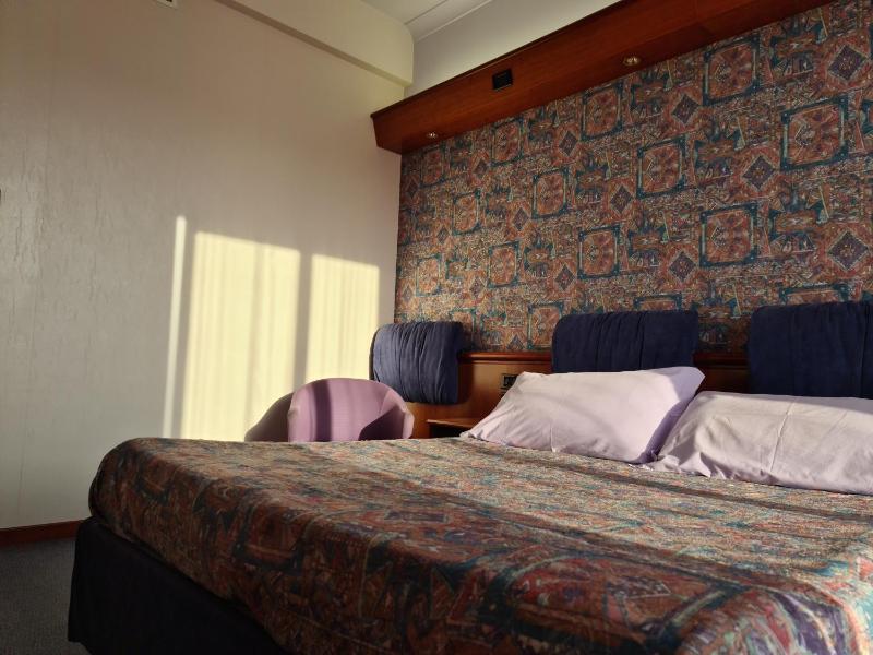 Double or Twin Room image 3
