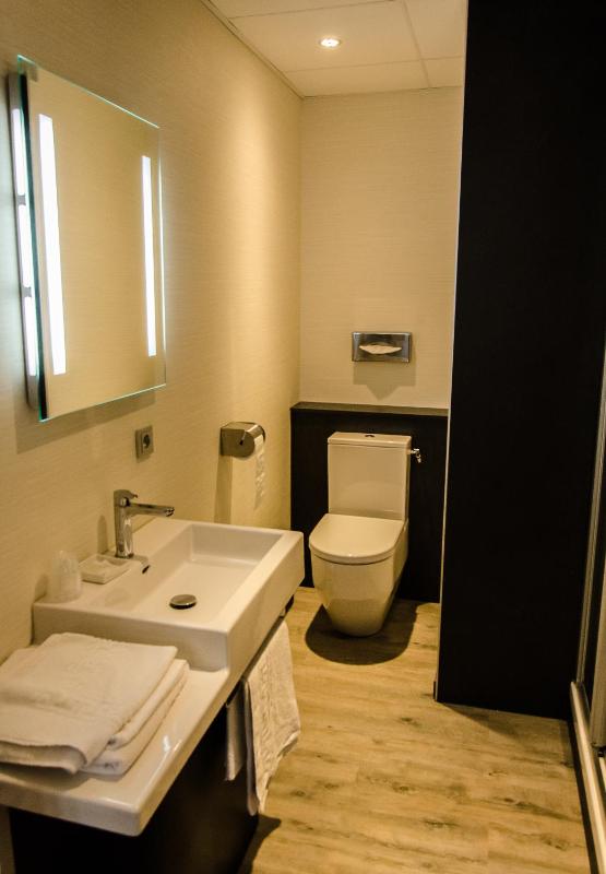 Double or Twin Room image 4
