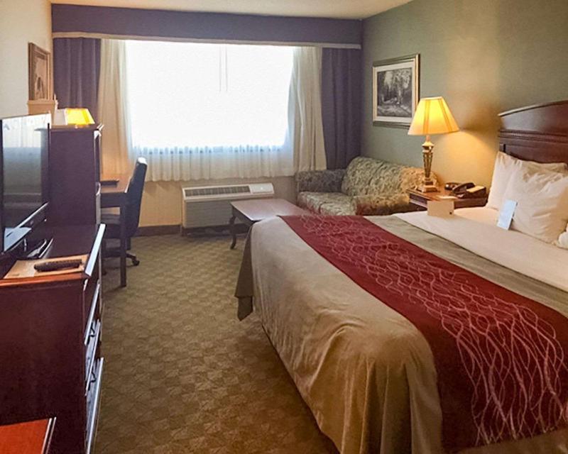 King Room - Non-Smoking image 3