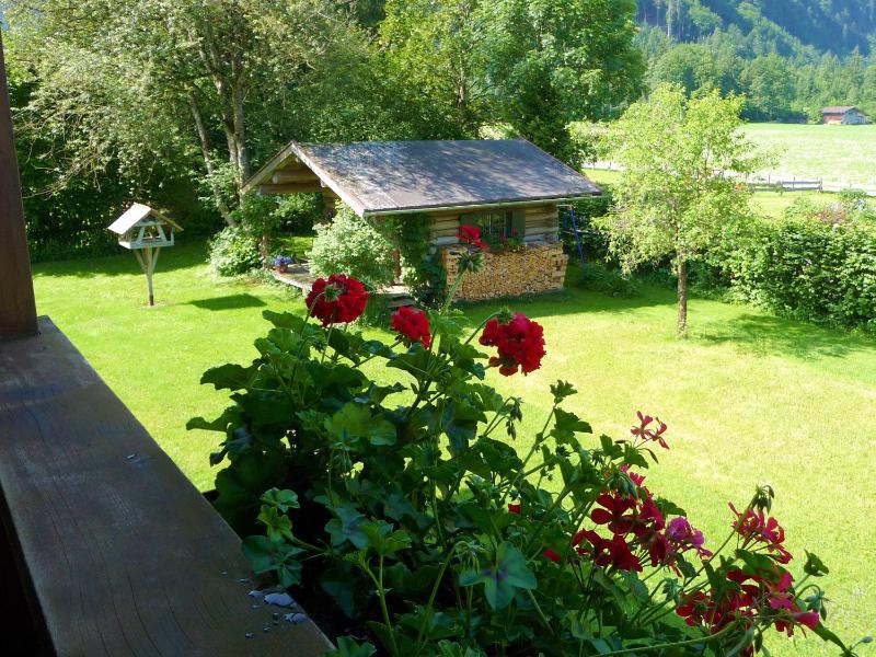 Apartment Bruni with Mountain View image 4