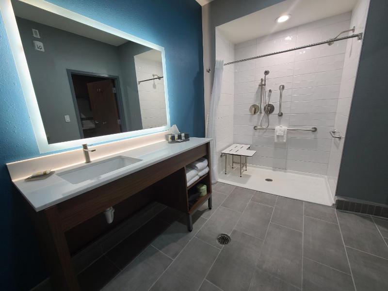 1 King Bed, Mobility/Hearing Access Efficiency Room, Roll-In Shower, Non-Smoking image 1