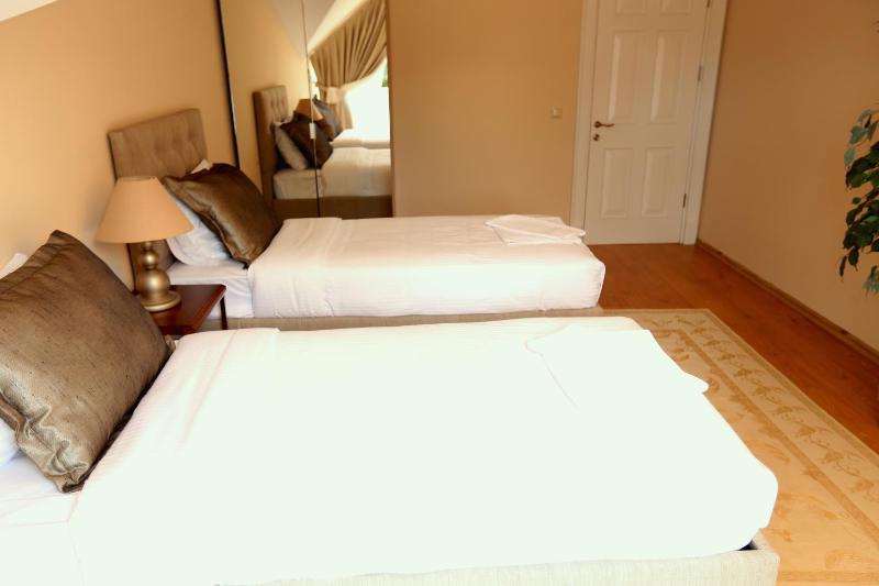 Deluxe King Suite image 2
