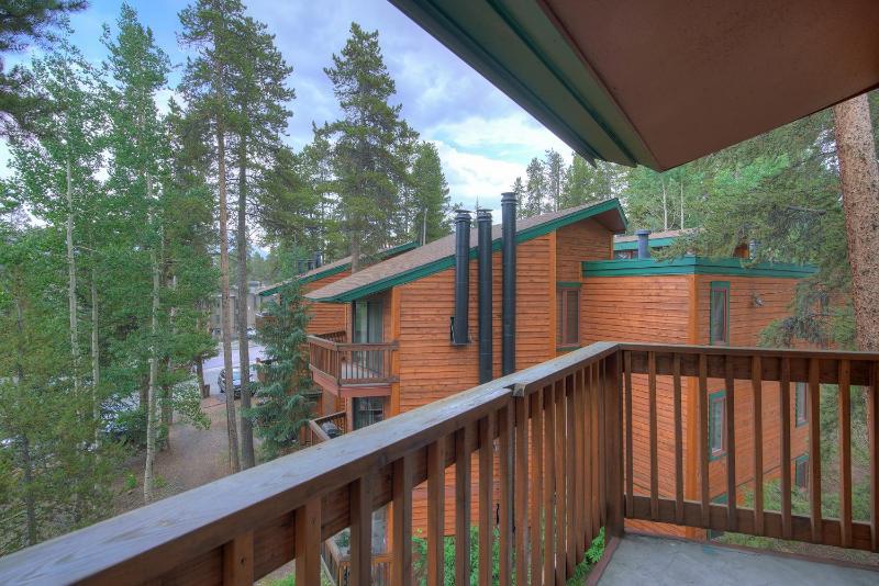 Peak 8 Village Retreat Condo: Great Year-Round Location - image 22
