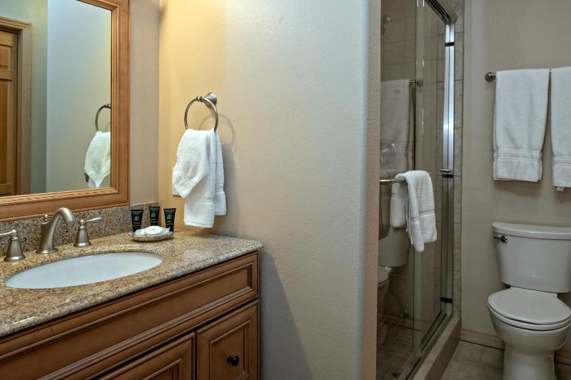 Corral at Breckenridge Raven Condo: Soaking Tub Views - image 24