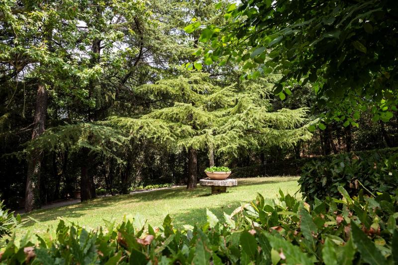 Deluxe Double Room image 2