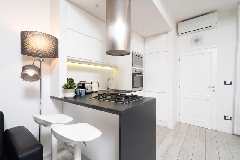 One-Bedroom Apartment image 4
