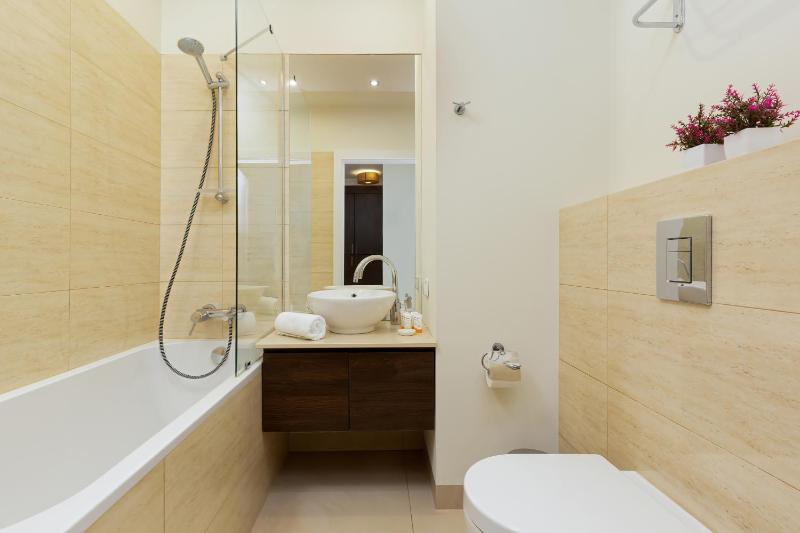 One-Bedroom Apartment image 3