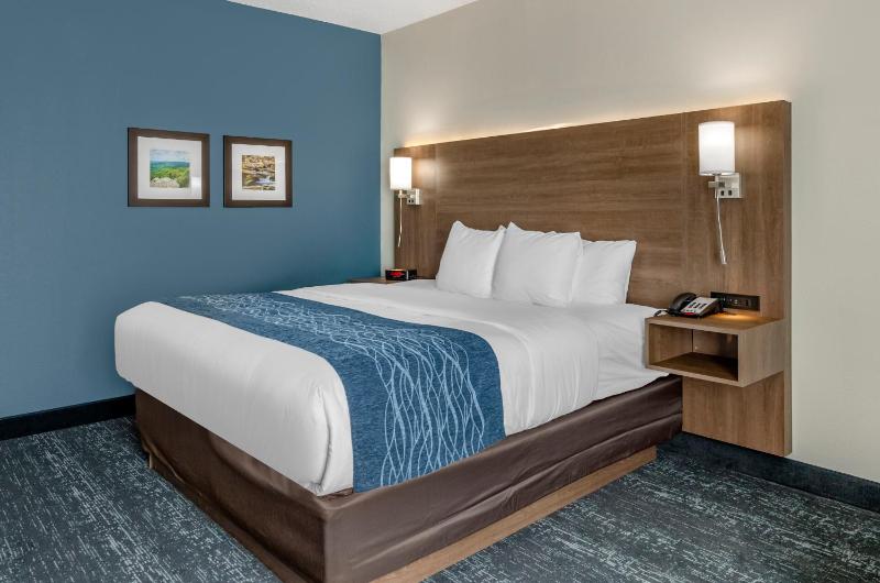 King Room - Accessible/Non-Smoking image 4