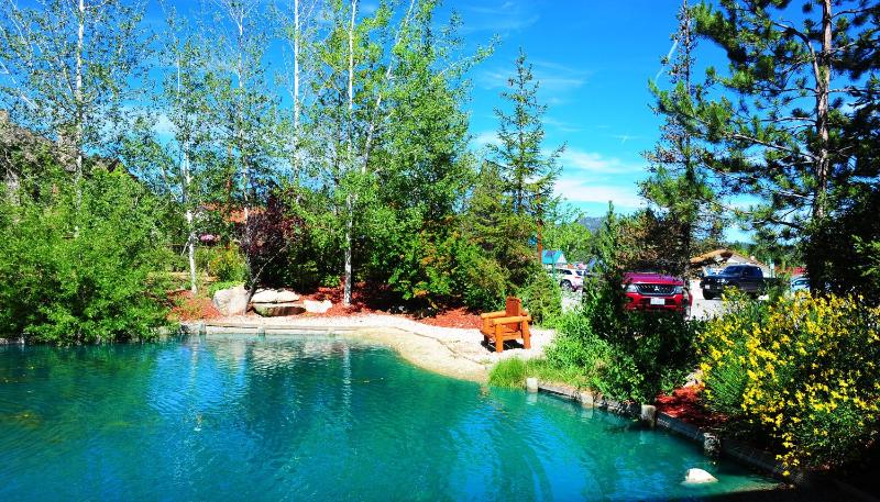 Holiday Inn Resort The Lodge at Big Bear Lake By IHG - image 13
