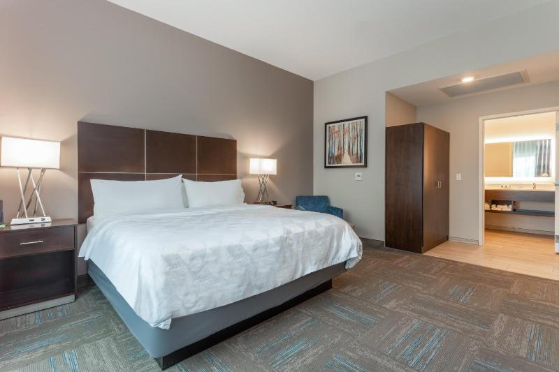 One-Bedroom King Suite image 4
