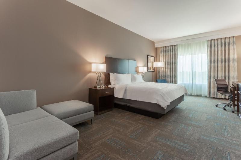 Standard King Room image 2