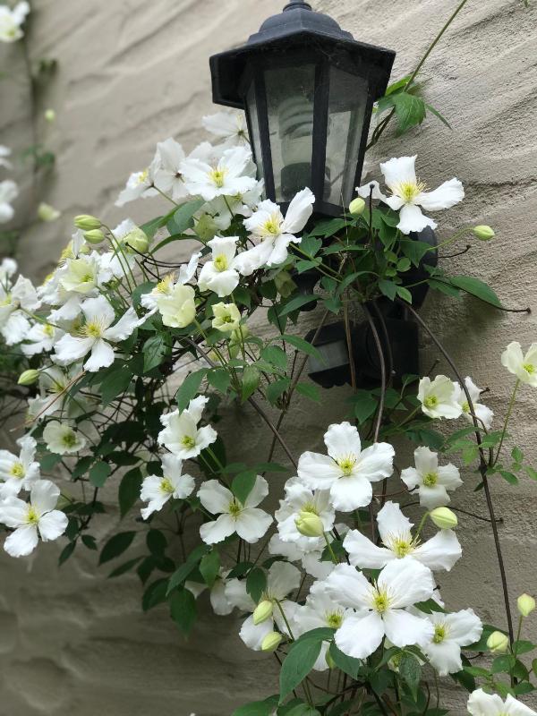 The Canyons B&B - image 2